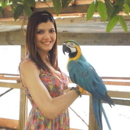 Amazon Rainforest Lodge Padre Cocha Екстериор снимка