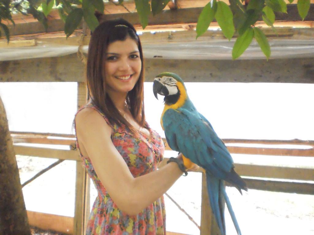 Amazon Rainforest Lodge Padre Cocha Екстериор снимка